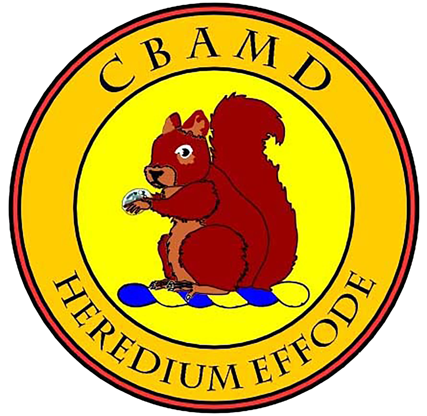 Red squirrel holding a silver object, sitting on a yellow and blue patterned ground, surrounded by a yellow circular emblem with the text CBAMD at the top and HEREDIUM EFFODE at the bottom. The tone is friendly and welcoming, representing the Camberley and Bagshot Association of Metal Detectorists.